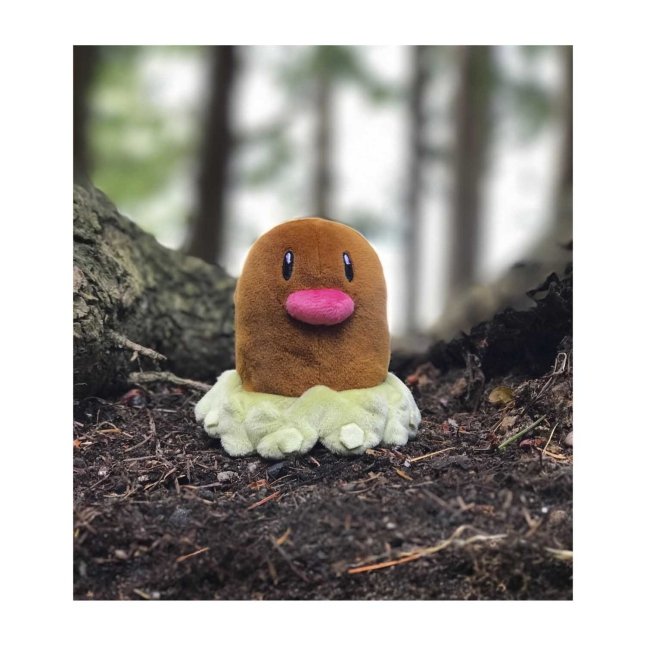 alolan diglett plush