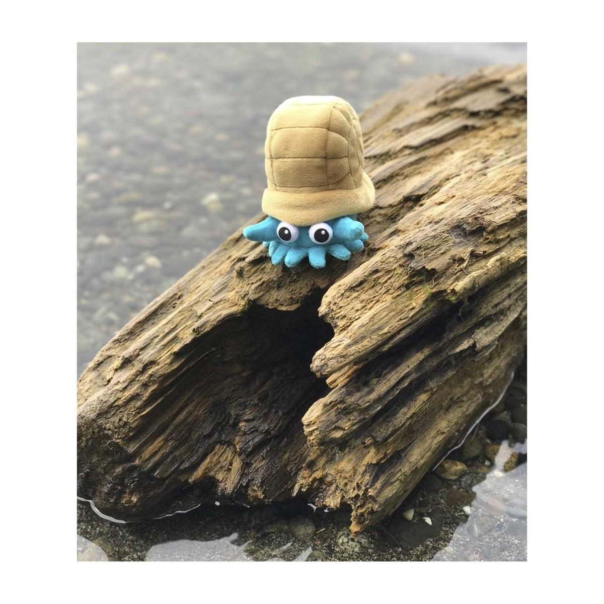 Omanyte plush cheap