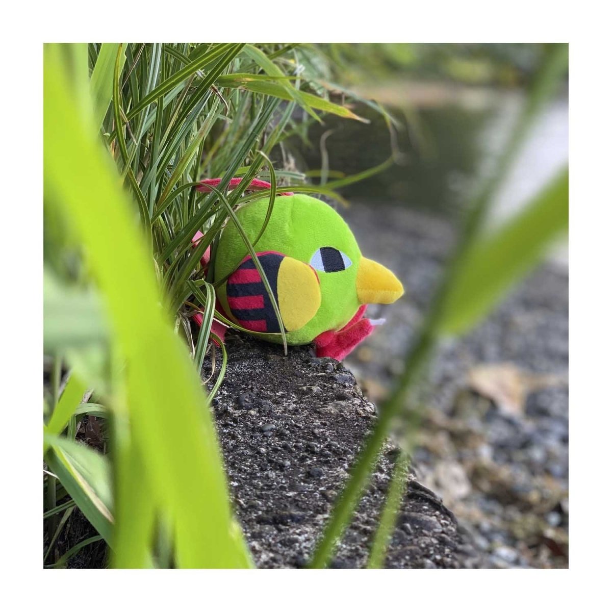 Natu plush 2024