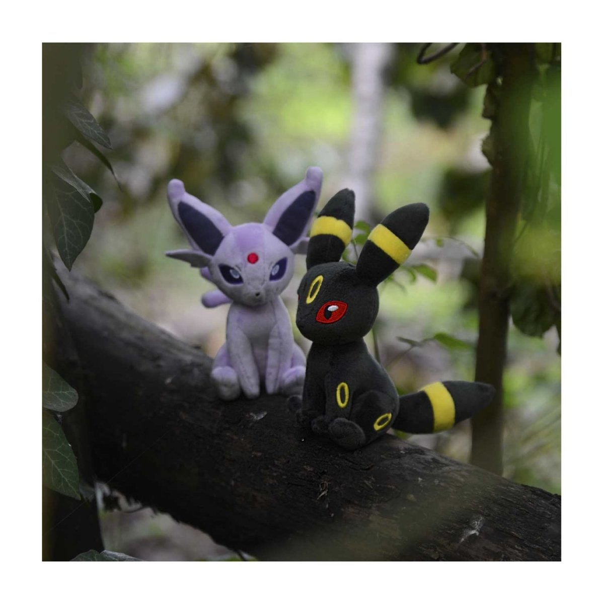 Umbreon sitting cheap