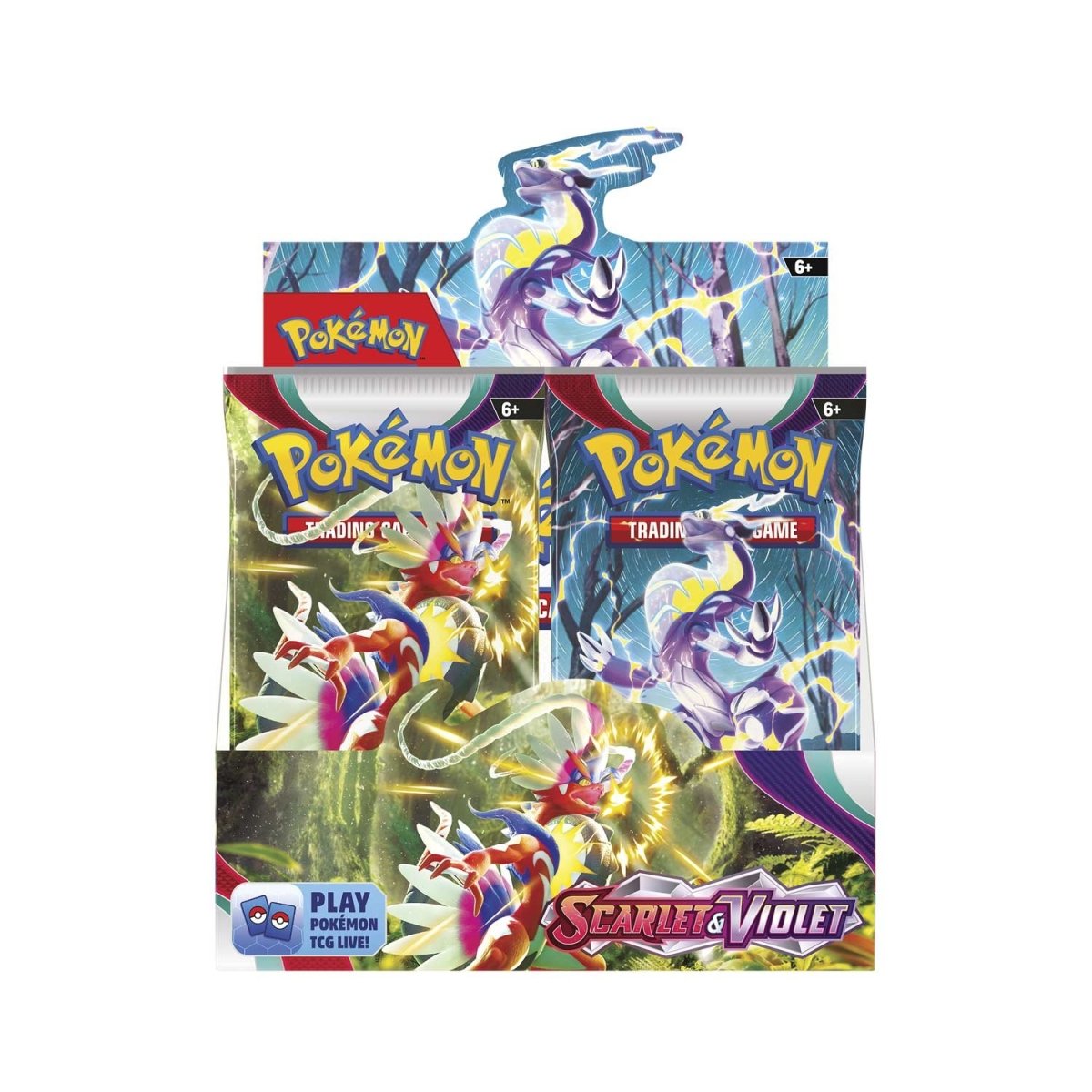 Pokemon Box - Pokemon Card Packs and Boxes