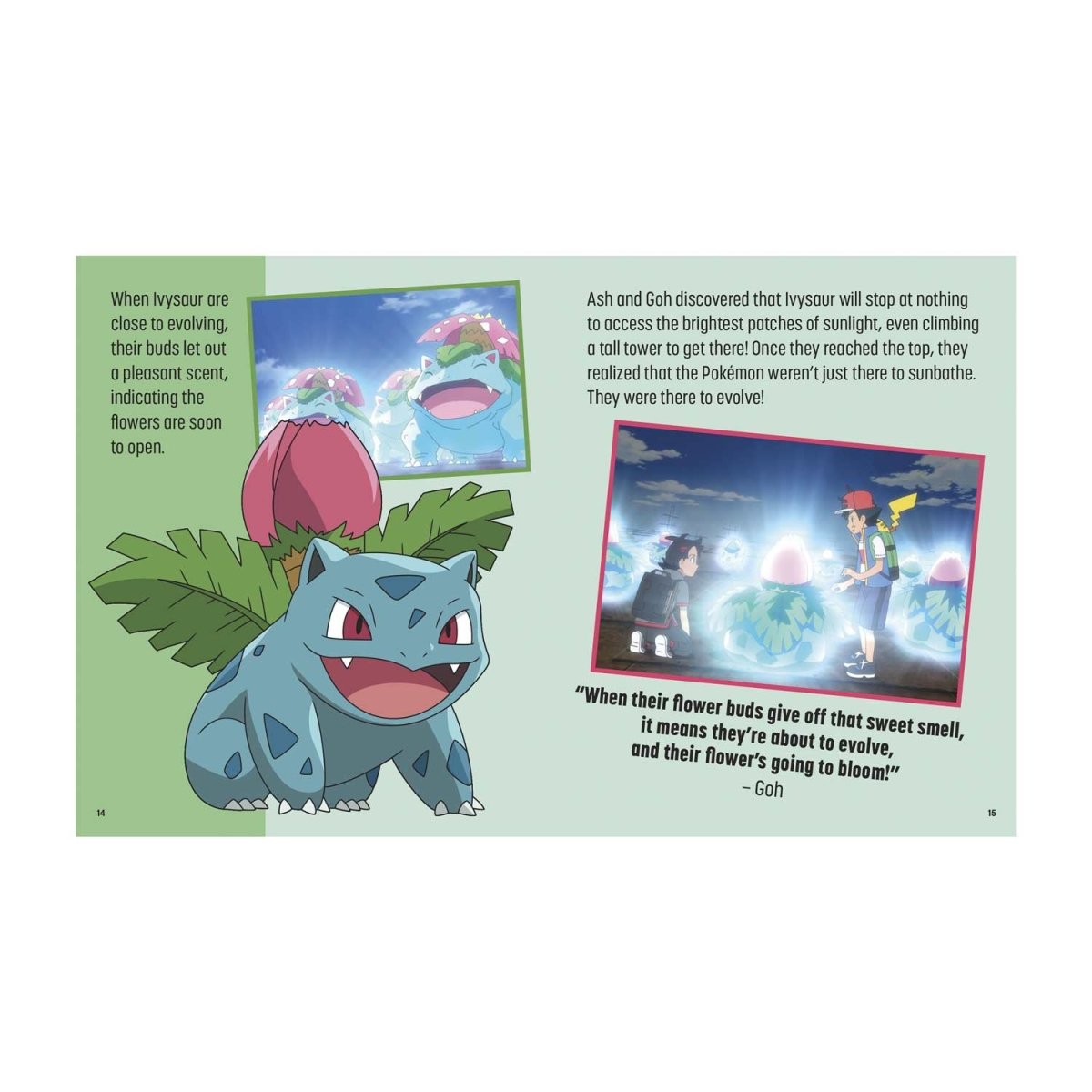 Pokémon: Trainer's Mini Exploration Guide to Kanto - by Insight Editions &  Austin (Hardcover)