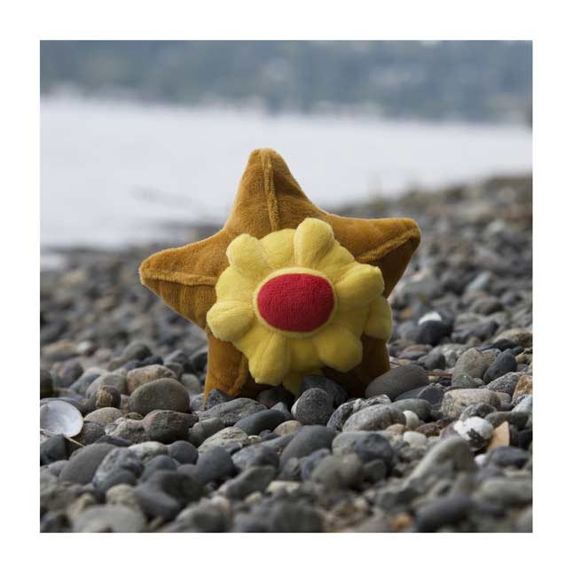 pokemon staryu plush