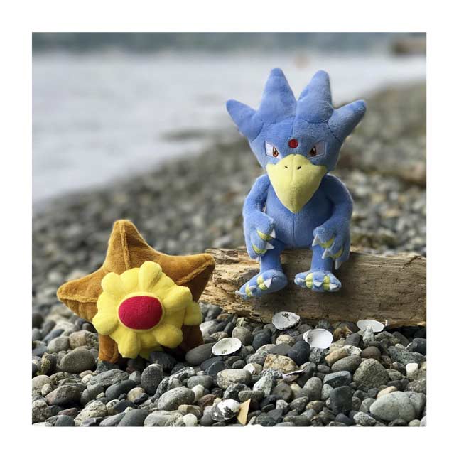 pokemon staryu plush