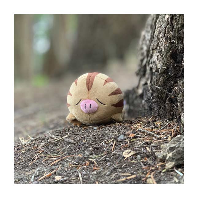 pokemon swinub plush