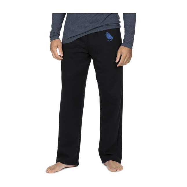 the north face horizon pants