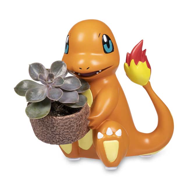 pokemon center charmander